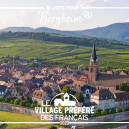 Appartement Vue Splendide Au Coeur Des Vignes à Bergheim Extérieur photo