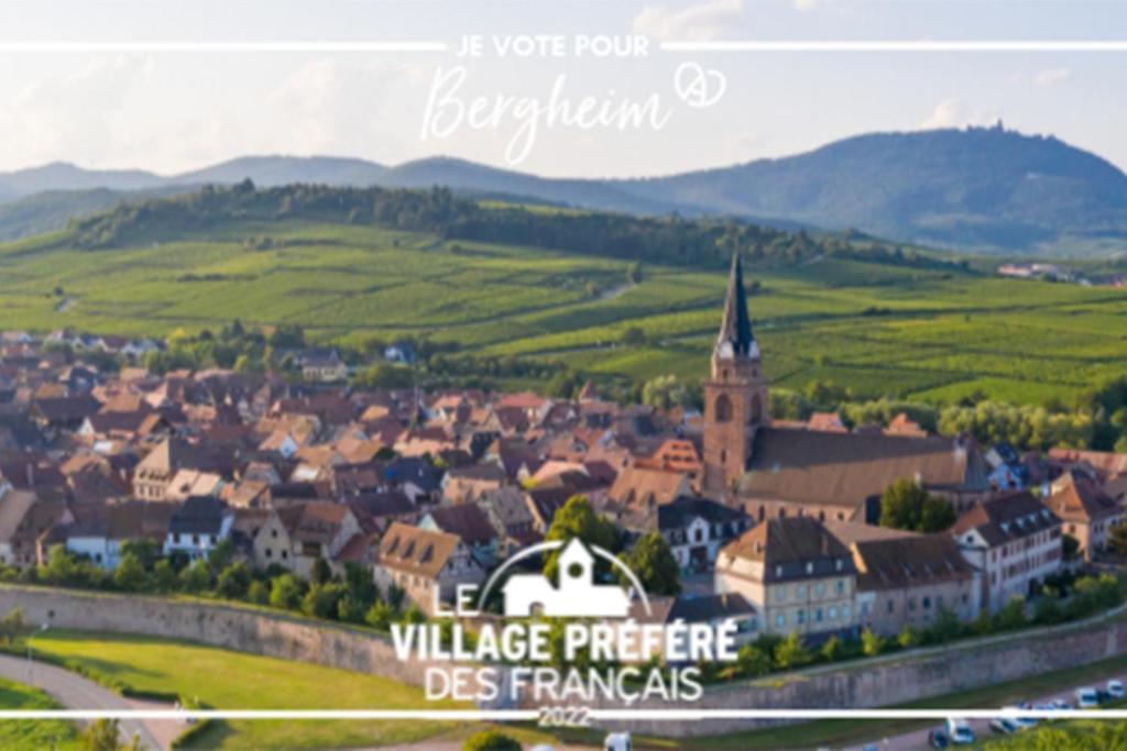 Appartement Vue Splendide Au Coeur Des Vignes à Bergheim Extérieur photo
