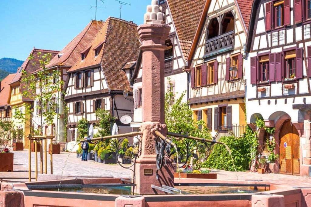 Appartement Vue Splendide Au Coeur Des Vignes à Bergheim Extérieur photo