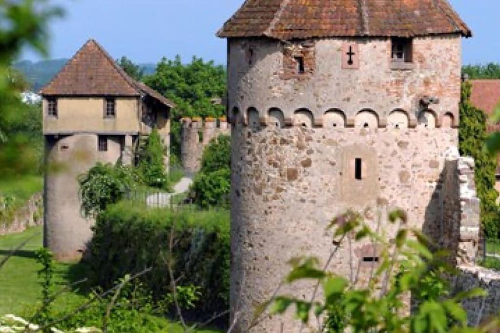 Appartement Vue Splendide Au Coeur Des Vignes à Bergheim Extérieur photo